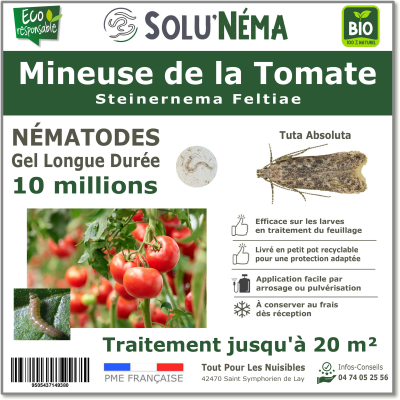 10 Million nematodes to treat tomato leaf miner larvae