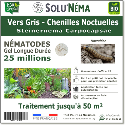 Traitement contre les vers gris avec les nématodes Steinernema Carpocapsae 25 millions SC