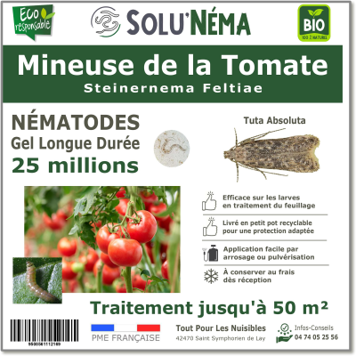 25 miljoen aaltjes voor tomatenmineermotlarven