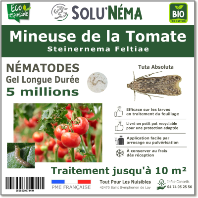 5 miljoen nematoden om larven van tomatenmineermot te bestrijden