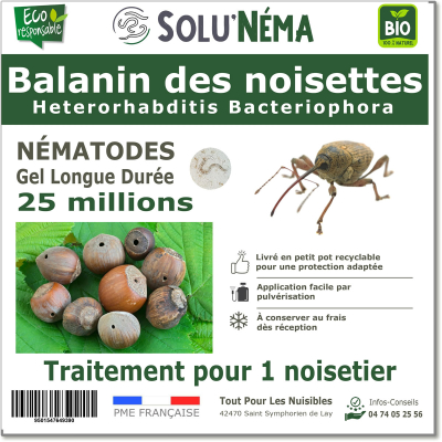 Balanin des noisettes 25 M nématodes HB