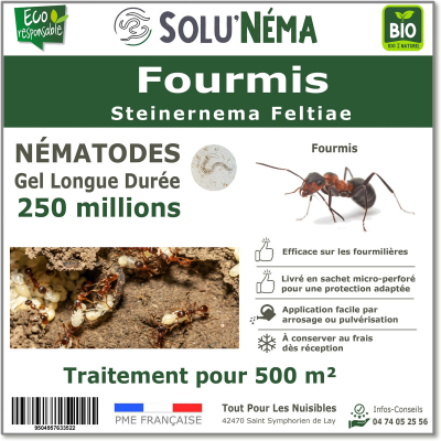 Nématodes traitement des fourmis 250 millions