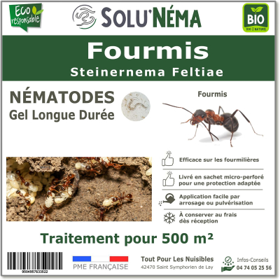 Nématodes traitement des fourmis