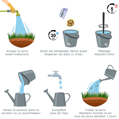 Diagramma dei nematodi HB Larve bianche per tappeto erboso/prato