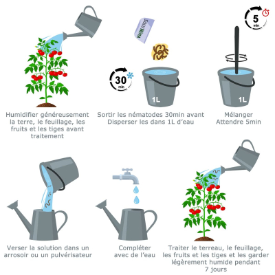 Schema di trattamento del minatore fogliare del pomodoro