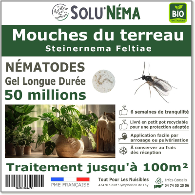 Nematodes (SF) Solunema for Soil πετάει 50 εκατομμύρια SF