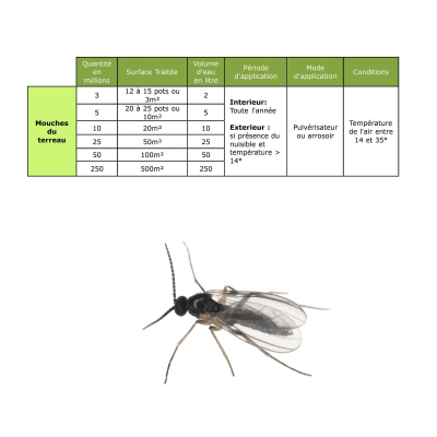 Dosage Nématodes SF Mouche du terreau