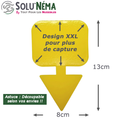 Lot de 20 pièges collants jaunes pour la mouche du terreau