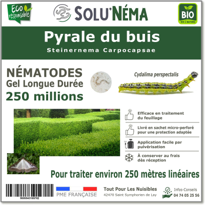 250 millions de nématodes pour traiter les chenilles de la pyrale du buis