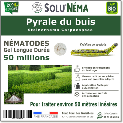 50 millions de nématodes pour traiter les chenilles de la pyrale du buis