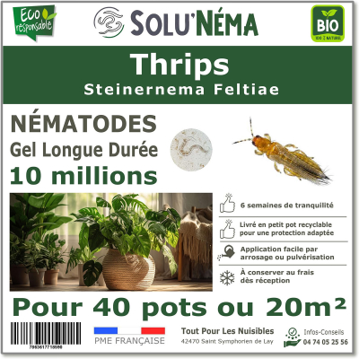 Nématodes (SF) Solunema pour Les Thrips 10 millions SF