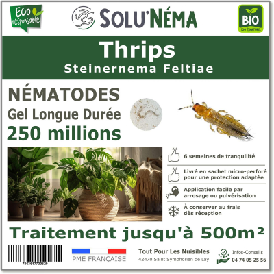 Nématodes (SF) Solunema pour Les Thrips 250 millions SF