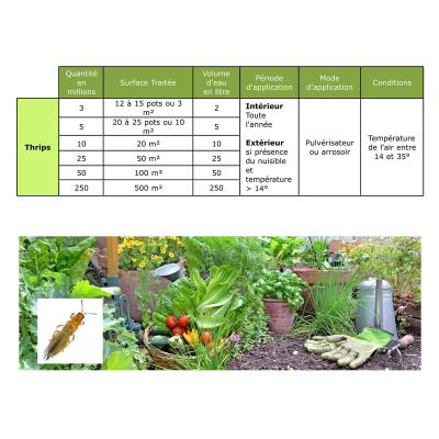 Dosis de nematodos SF Thrips