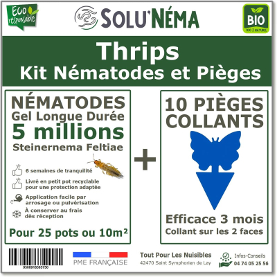 Kit Thrips - 5 millions Nématodes et 10 pièges collants