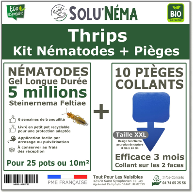 Kit Thrips - 5 millions Nématodes et 10 pièges collants xxl