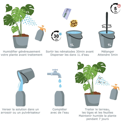 Schematische Darstellung Nematoden SF Thrips