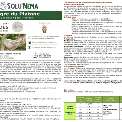 Notice Nématodes SF Tigre du platane