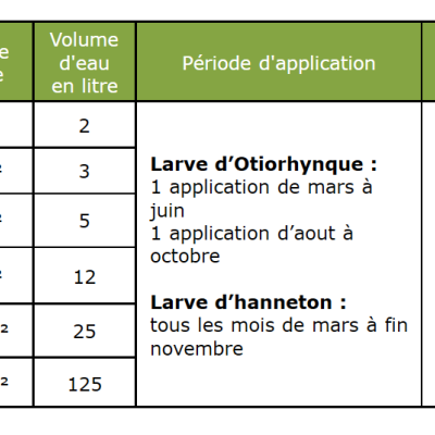 Dosage Nématodes HB Vers blancs