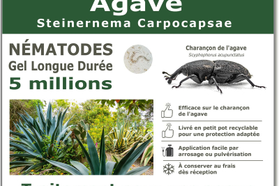 Nématode SC - 5 millions - 1 agave