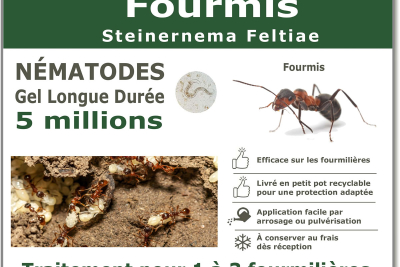 Tratamiento de hormigas nematodas 5 millones.