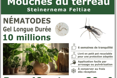 Nématodes (SF) Solunema pour Les mouches du terreaux 10 millions SF