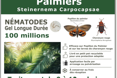 Nématode SC - 100 millions - 8 à 12 palmiers