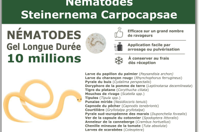 10 Millions de nématodes Steinernema Carpocapsae (SC)