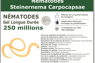 250 miljoen Steinernema Carpocapsae (SC) Nematoden