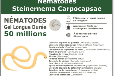 50 Millions de nématodes Steinernema Carpocapsae (SC)