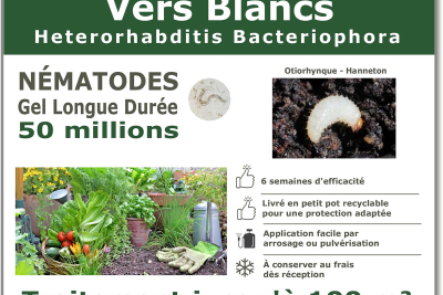 Nematodes (HB) Solunema for white grubs - vine weevil - cockchafer 50 million SF