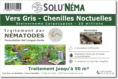Behandeling tegen cutworms met nematoden Steinernema Carpocapsae 25 miljoen SC