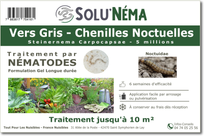 Traitement contre les vers gris avec les nématodes Steinernema Carpocapsae  5 millions SC