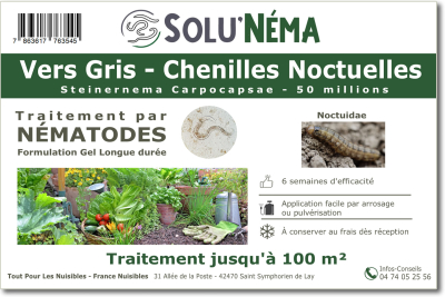 Traitement contre les vers gris avec les nématodes Steinernema Carpocapsae 50 millions SC